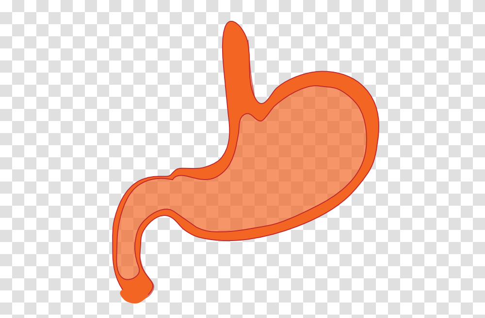 Esophagus Clipart, Stomach, Hammer, Tool Transparent Png
