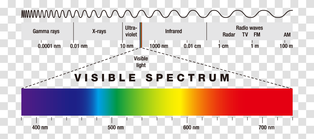 Espectro De Luz Infravermelho, Label, Scoreboard, Outdoors Transparent Png