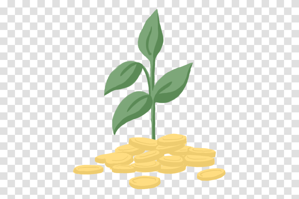 Esperanza, Plant, Leaf, Sprout, Jar Transparent Png