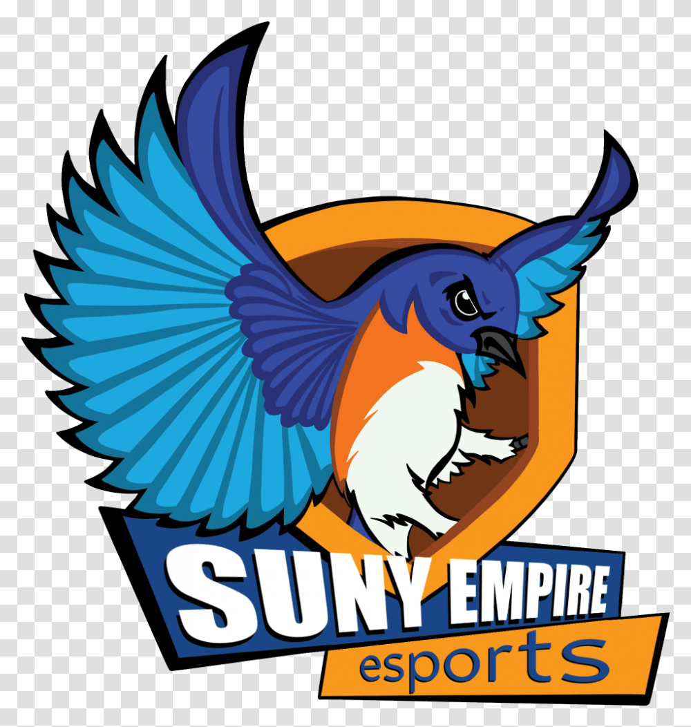 Esports Student Affairs Suny Empire State College Language, Jay, Bird, Animal, Blue Jay Transparent Png