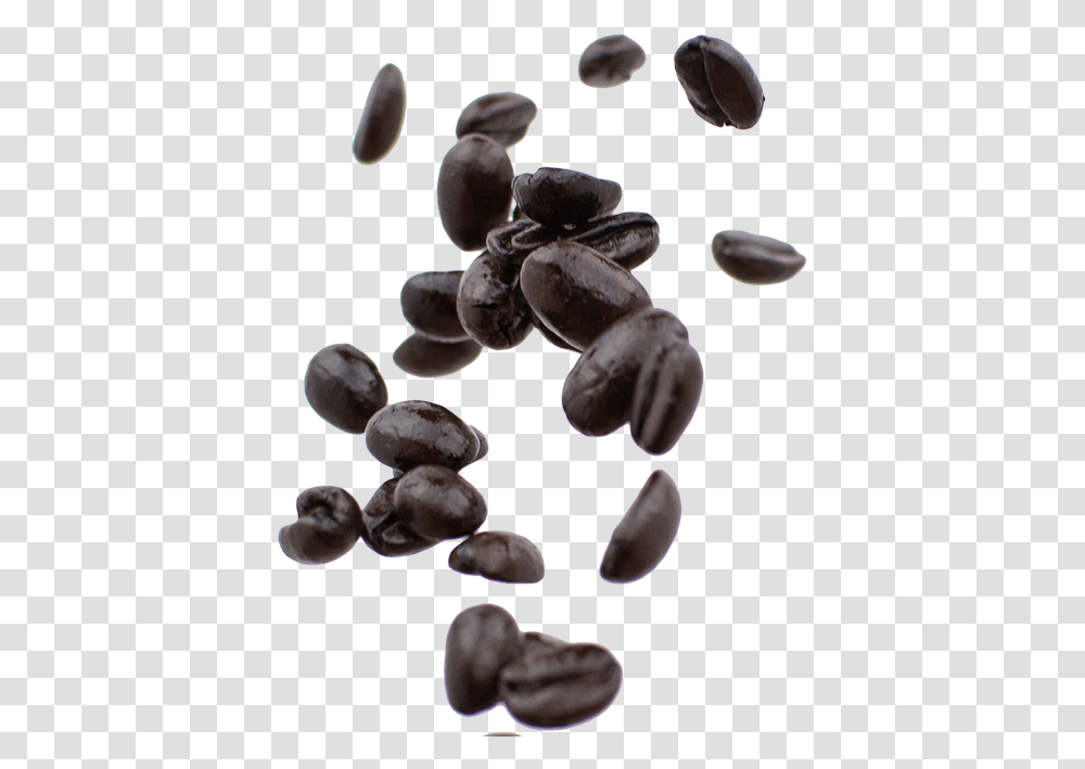 Espresso Blend Kidney Beans, Plant, Fungus, Mushroom, Grapes Transparent Png