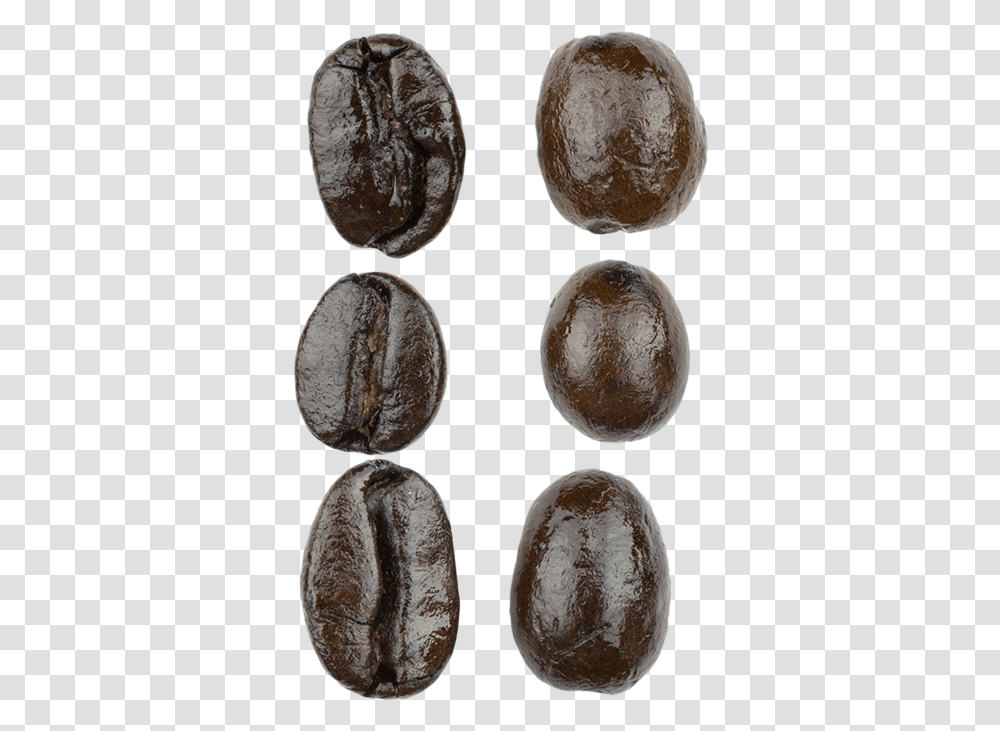 Espresso Blend Macro Kidney Beans, Plant, Food, Vegetable, Produce Transparent Png