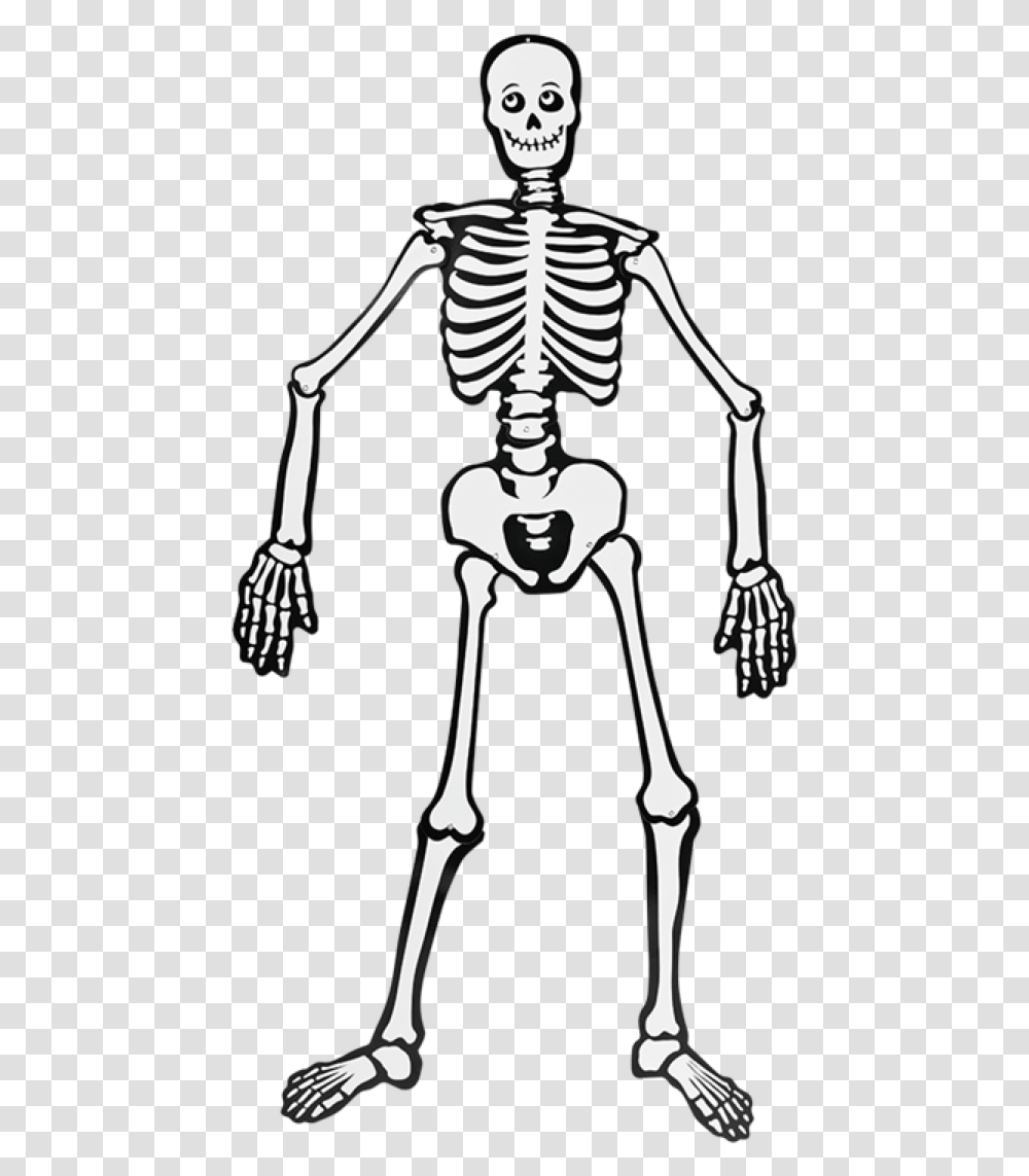 Esqueleto Halloween Esqueleto, Skeleton, Person, Human Transparent Png
