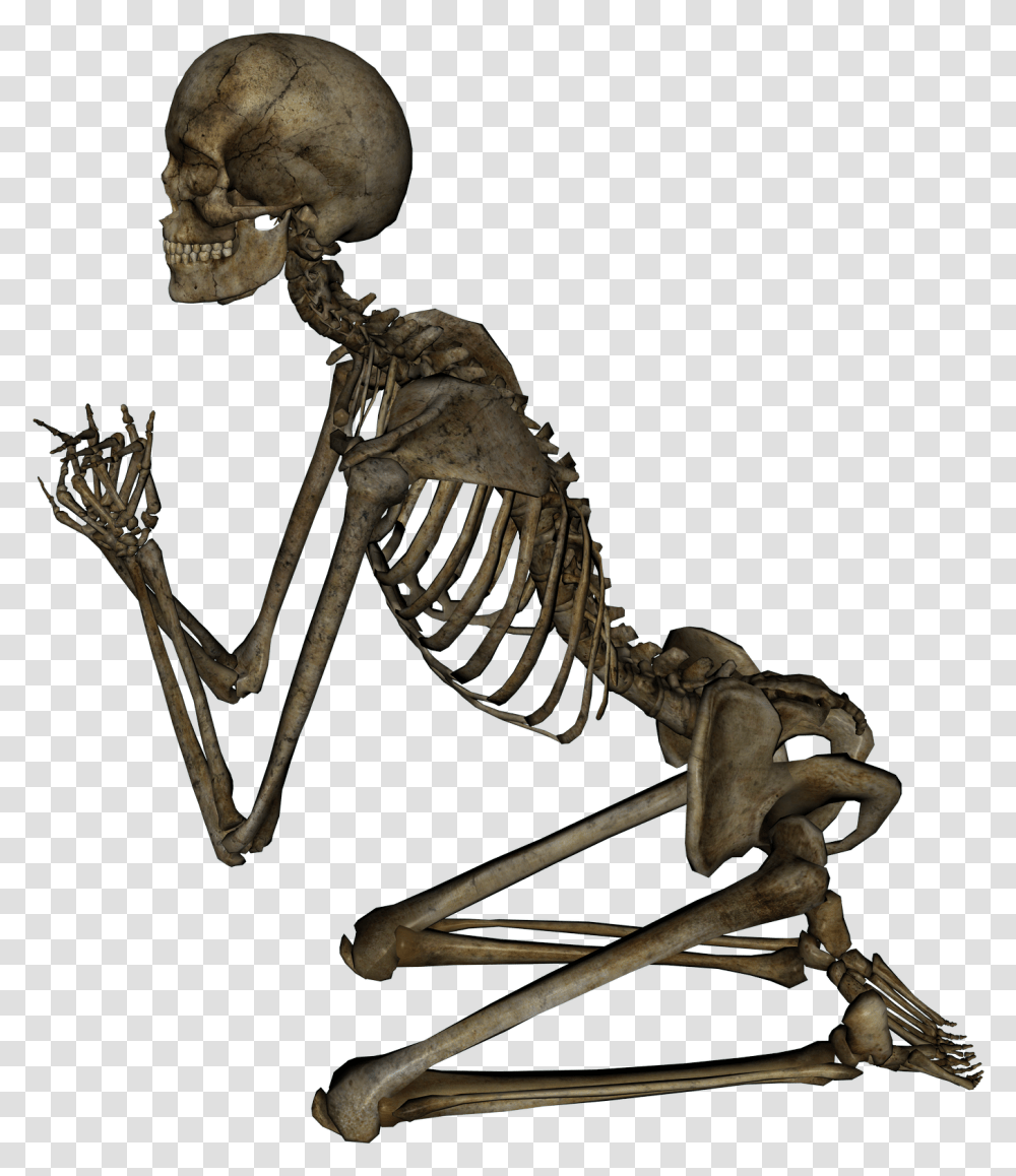 Esqueleto Otaku, Skeleton Transparent Png