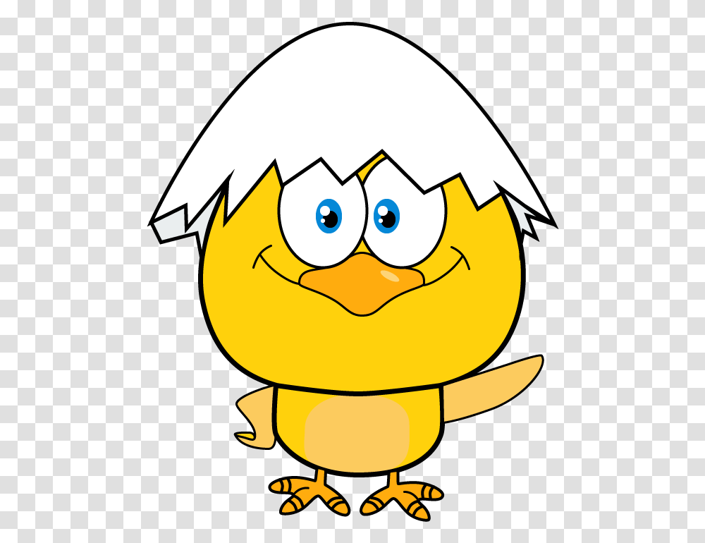 Esquemas Para Estudiar, Animal, Egg, Food, Angry Birds Transparent Png