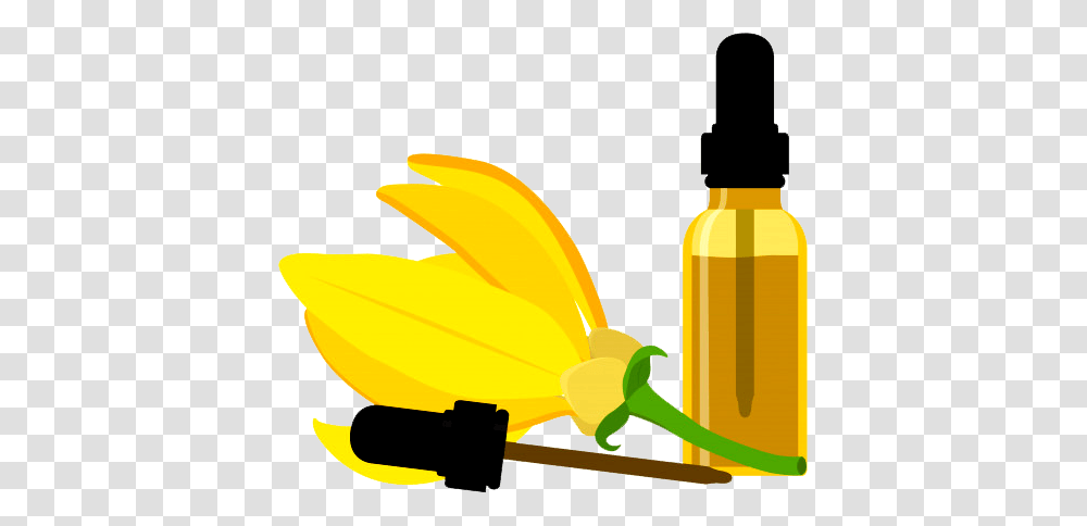 Essential Oils Guide Types Uses Benefits, Bottle, Pollen, Can, Tin Transparent Png