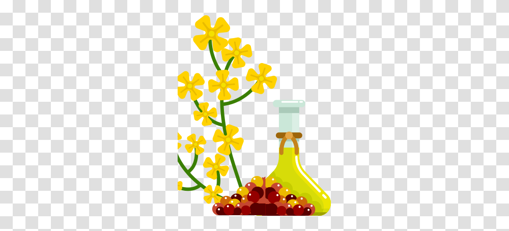 Essential Oils Guide Types Uses Benefits, Plant, Flower, Blossom, Pollen Transparent Png