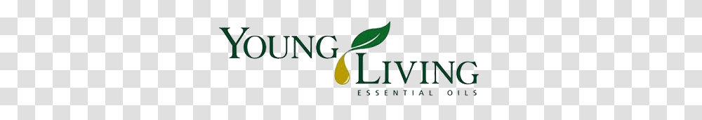 Essential Oils, Logo, Building Transparent Png