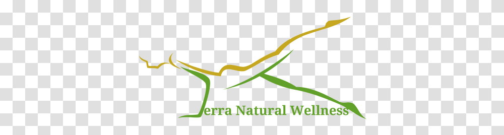 Essential Oils Terranaturalwellness Horizontal, Reptile, Animal, Anole, Gecko Transparent Png