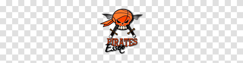 Essex Pirates, Knight, Doodle, Drawing Transparent Png