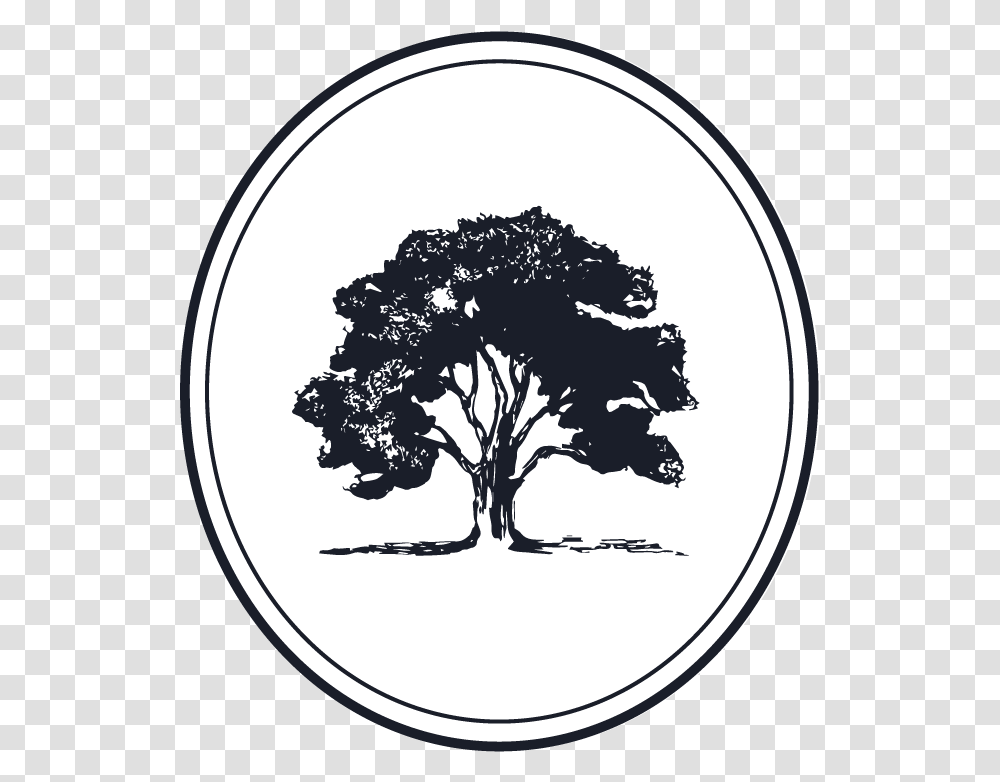 Estate Planning We Help Individuals And Families Protect Beech Tree Vector, Plant, Painting, Stencil Transparent Png
