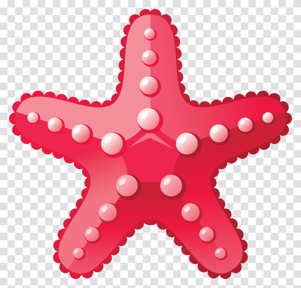 Estrela Do Mar, Toy, Sea Life, Animal, Starfish Transparent Png