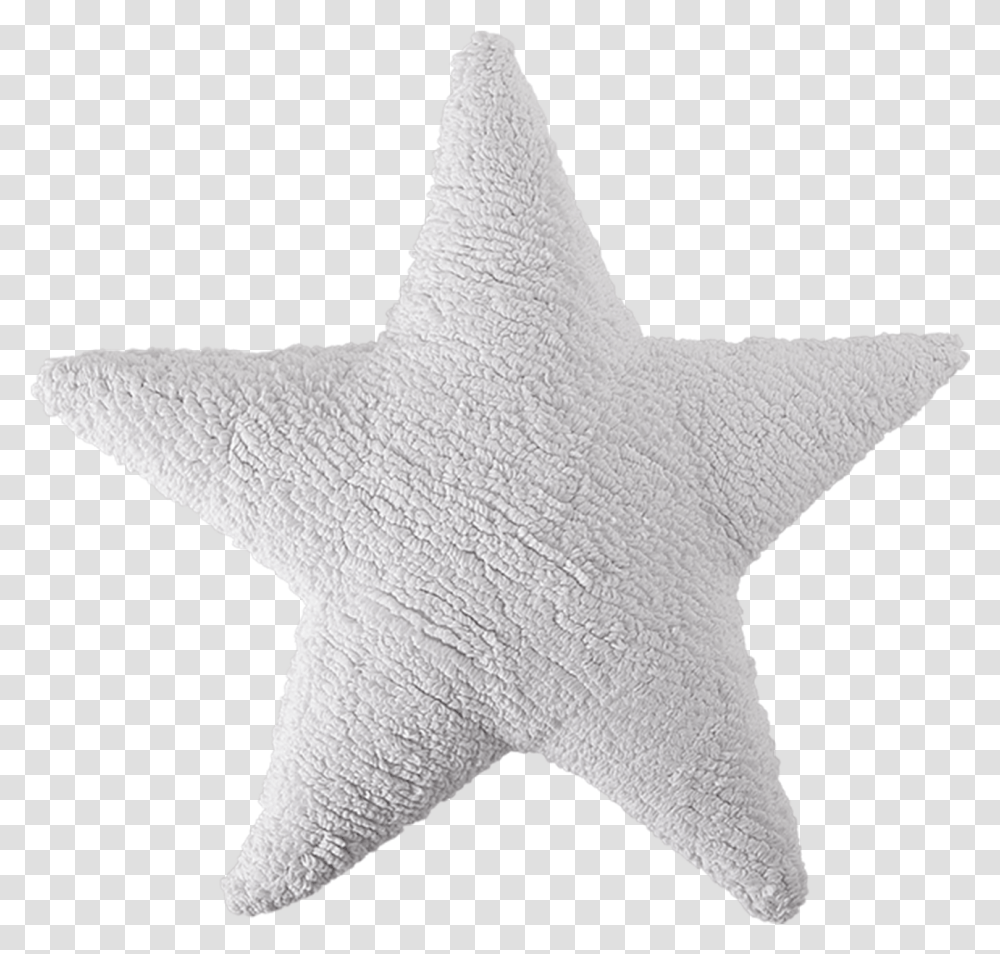 Estrella Blanca, Sea Life, Animal, Star Symbol Transparent Png