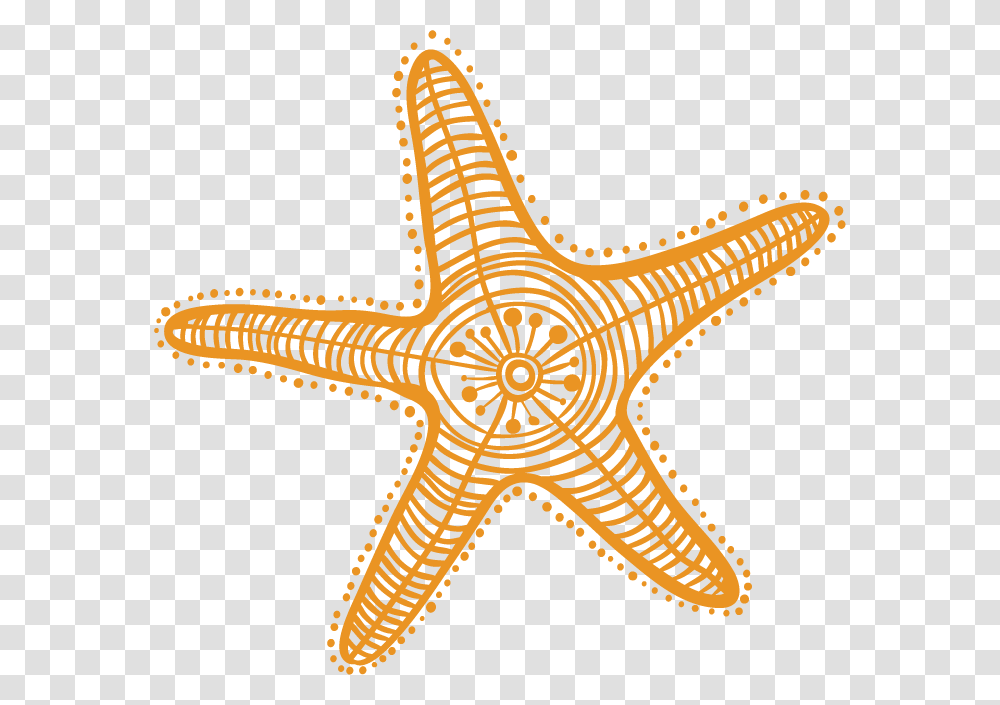 Estrella De Mar Clipart, Sea Life, Animal, Starfish, Invertebrate Transparent Png