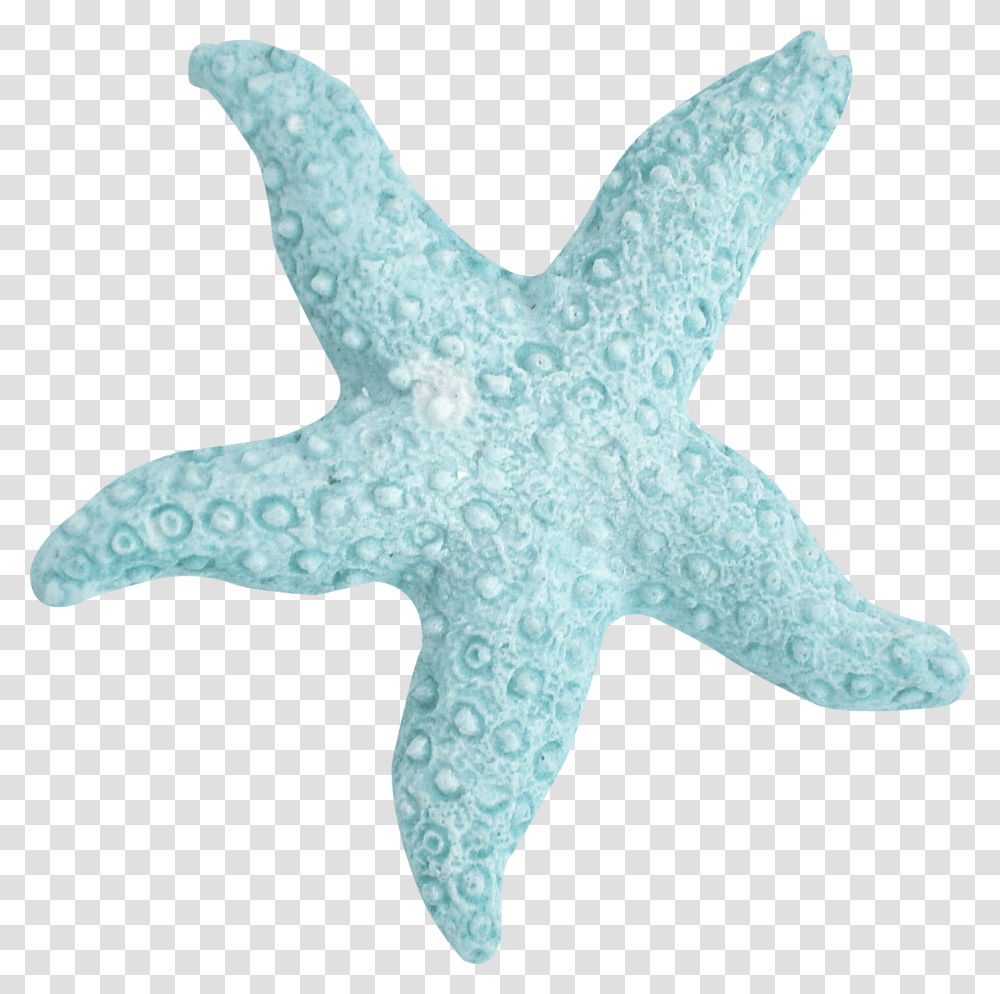 Estrella De Mar Dibujo Turquesa, Starfish, Invertebrate, Sea Life, Animal Transparent Png