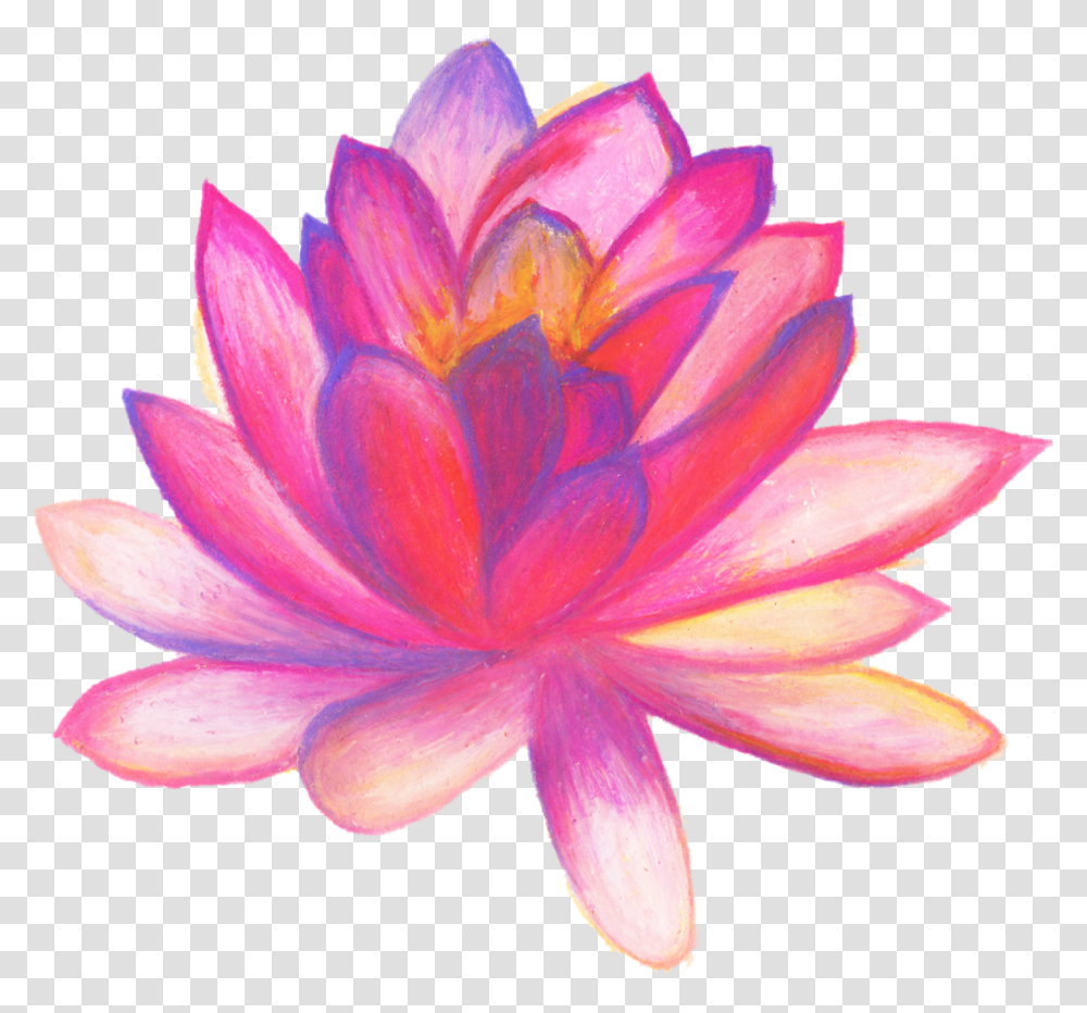 Estrellas Holga Balloon Baby Acuarela Color Art Flowers Drawn, Lily, Plant, Blossom, Pond Lily Transparent Png