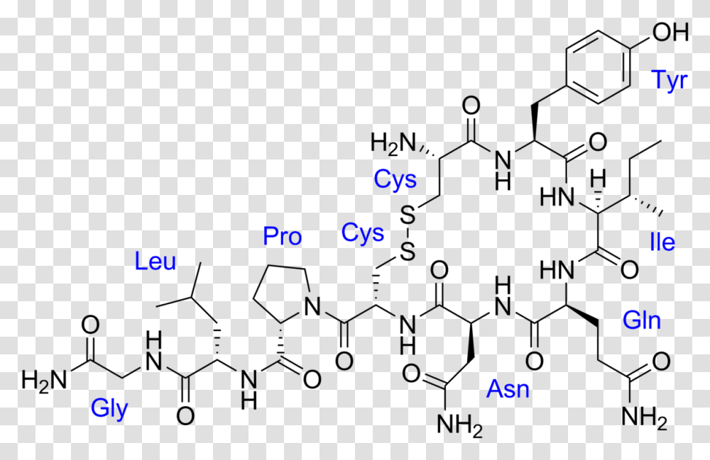 Estructura De La Oxitocina, Number, Honey Transparent Png