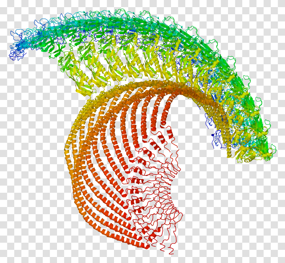 Estructuras Macromoleculares Transparent Png