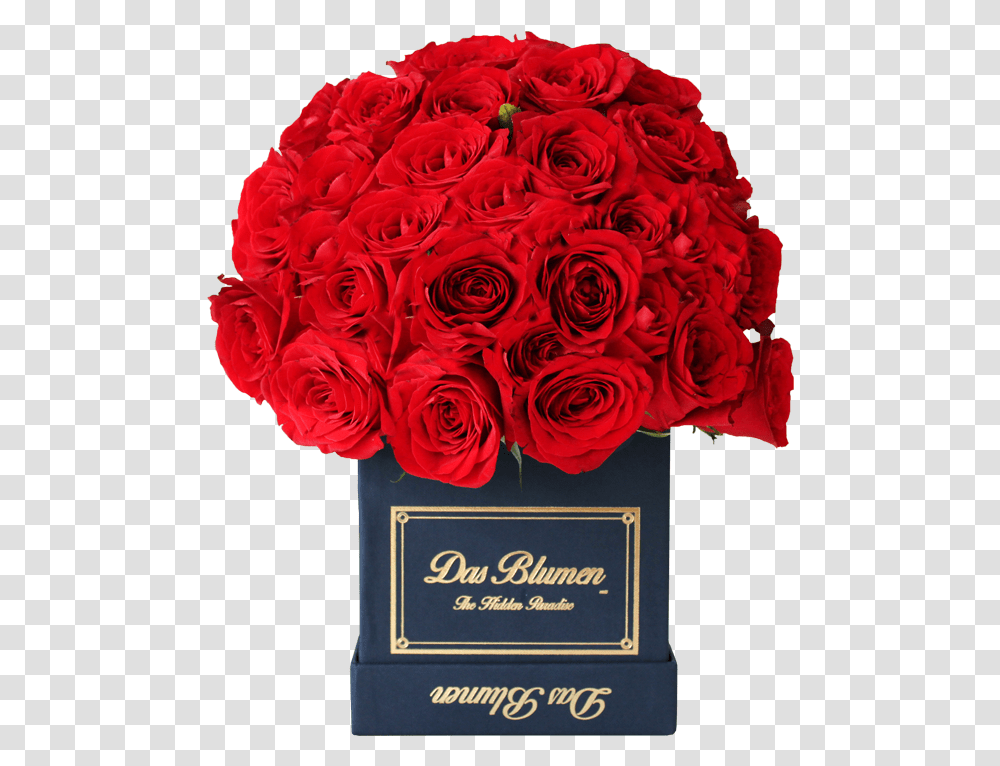 Estuche Cbico Mini Royal Con Rosas Naturales Day, Plant, Flower, Blossom, Flower Bouquet Transparent Png