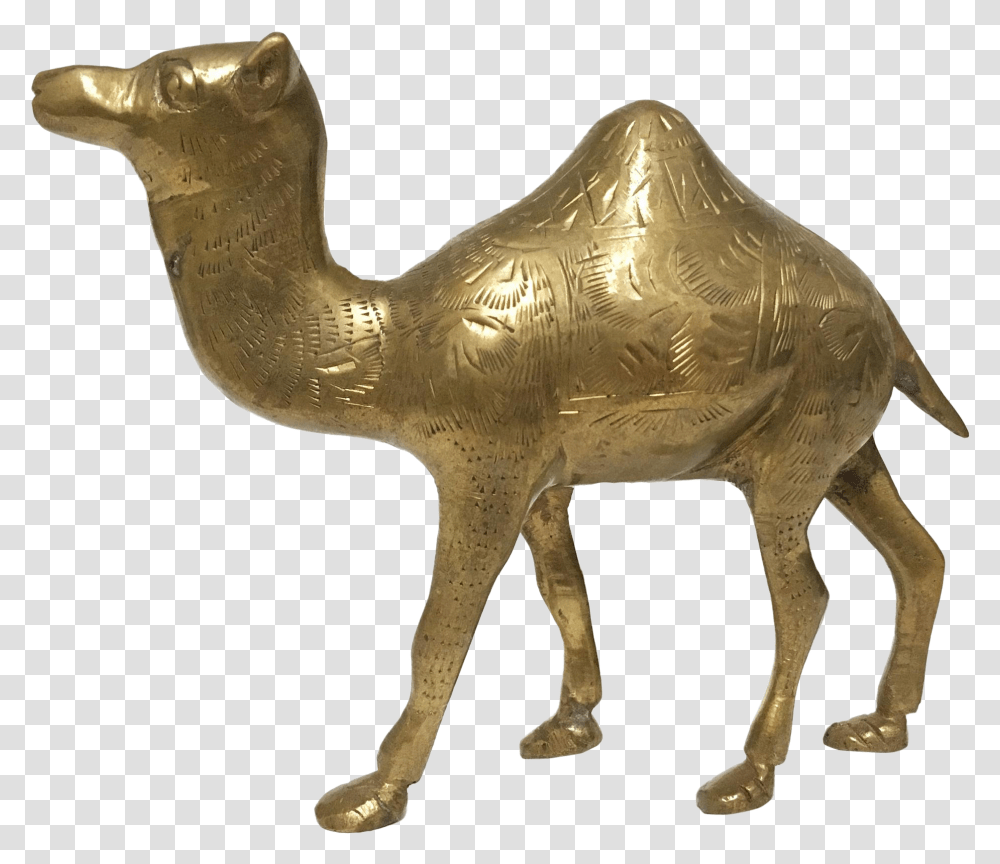 Etched Brass Camel Figurine Arabian Camel, Animal, Mammal, Antelope, Wildlife Transparent Png