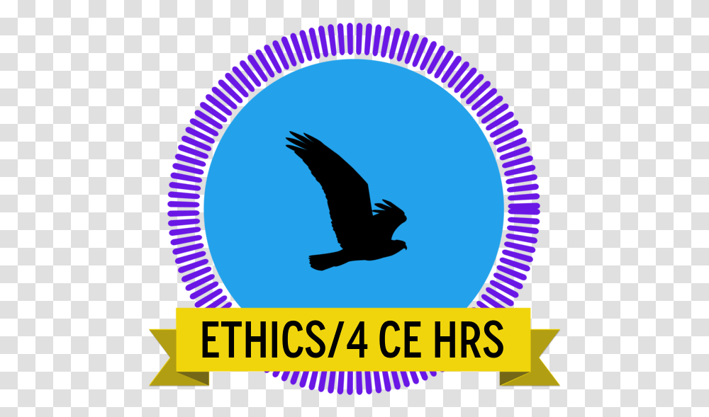 Ethics For The Professional Massage Therapist And Bodyworker Research Guru, Bird, Animal, Flying, Blackbird Transparent Png