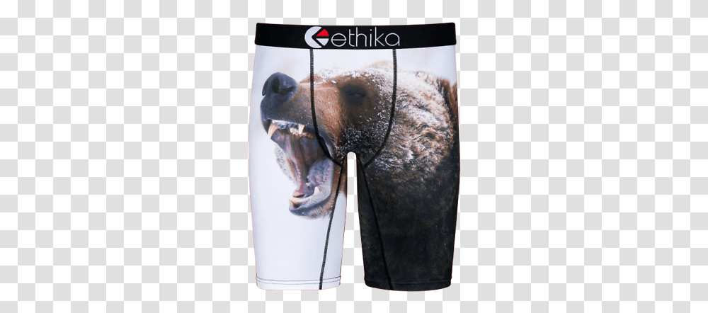 Ethika Bear Creek Boxer Brief Underwear For Men Stance Mens Icon Classic Crew Socks Size 9, Dog, Pet, Canine, Animal Transparent Png