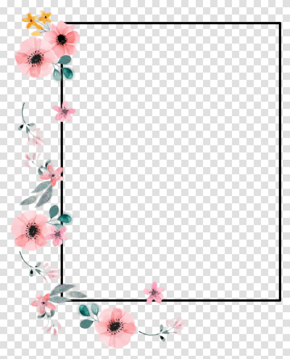 Etiqueta Flower Materia Tumblr Adriannam12 Gerbera, Plant, Blossom, Hibiscus, Floral Design Transparent Png