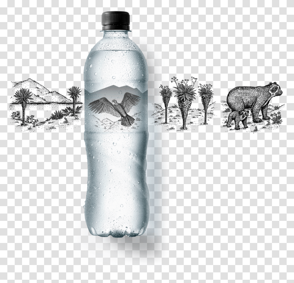 Etiqueta LgTitle Zalva Botella Agua Zalva, Bottle, Water Bottle, Beverage, Drink Transparent Png