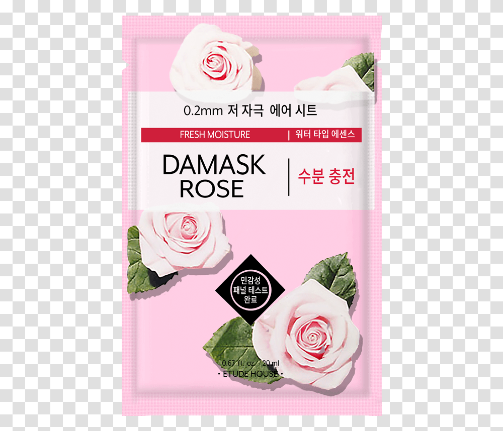 Etude House Rose Mask, Petal, Flower, Plant Transparent Png