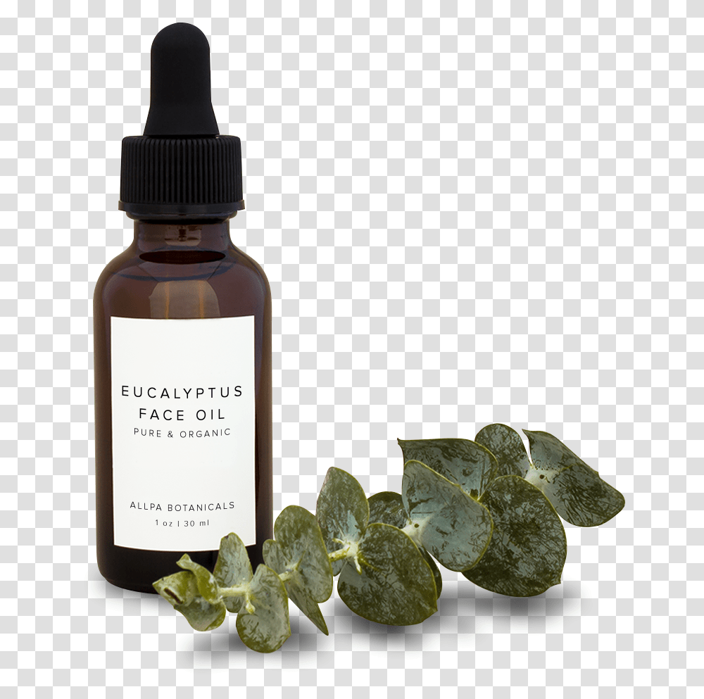 Eucalyptus Face Oil Cosmetics, Bottle, Plant, Flower, Blossom Transparent Png