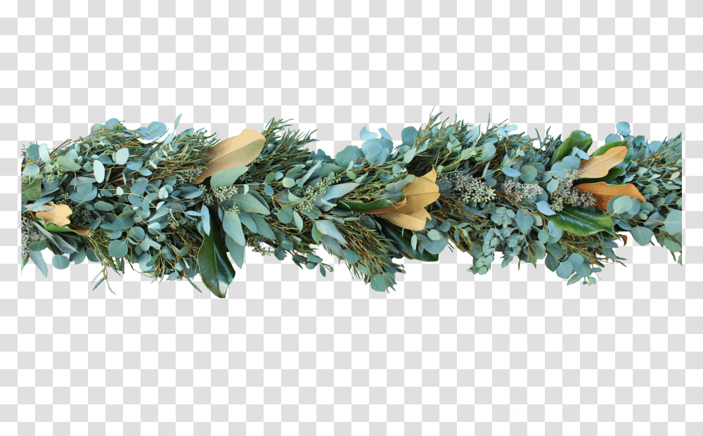 Eucalyptus Garland Sitka Spruce, Plant, Floral Design, Pattern Transparent Png