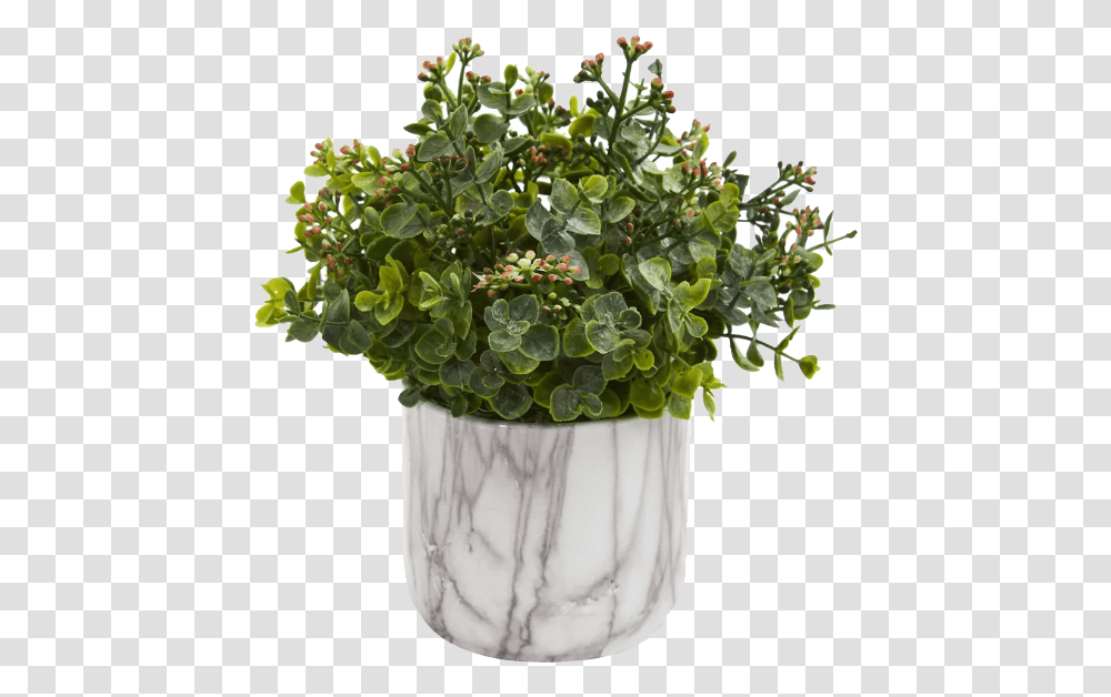 Eucalyptus Plant Faux, Potted Plant, Vase, Jar, Pottery Transparent Png