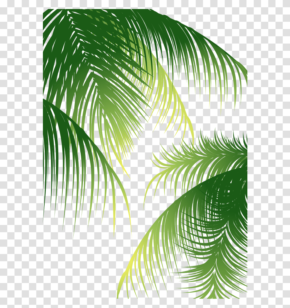 Euclidean Arecaceae Coconut Tree Coconut Leaves Vector, Green, Plant, Vegetation, Leaf Transparent Png
