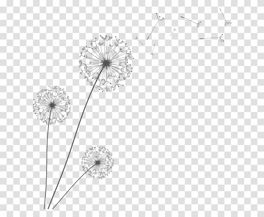 Euclidean Vector Dandelion Minimalist Floral Vector, Plant, Flower, Blossom Transparent Png