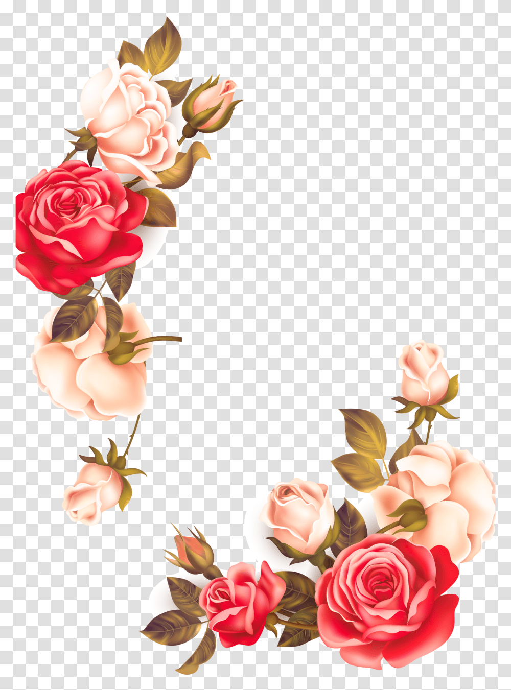 Euclidean Vector Flower Icon Vector Flower Border, Plant, Rose, Blossom, Floral Design Transparent Png