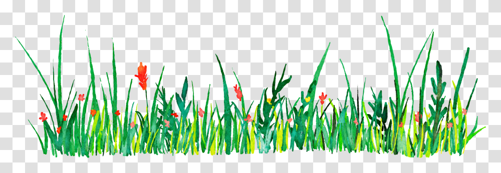 Euclidean Vector Icon Grass Watercolor, Plant, Vegetation, Flower, Lawn Transparent Png