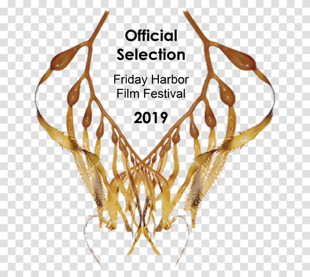 Eue Kelplaurel Friday Harbor Film Festival 2018, Chandelier, Lamp, Antler Transparent Png