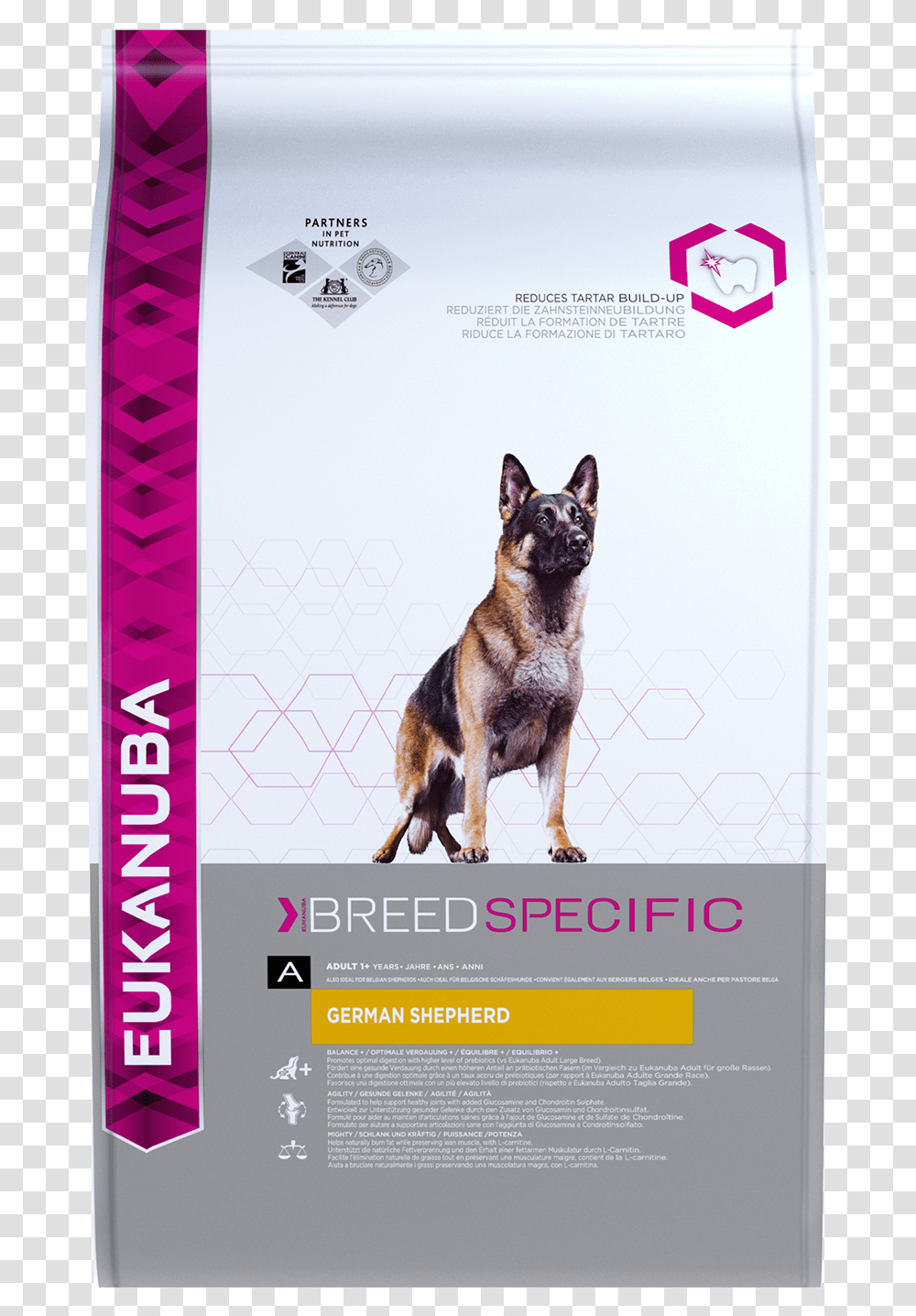 Eukanuba Breed Specific Betterave Pour Berger Allemand, Advertisement, Poster, Flyer, Paper Transparent Png