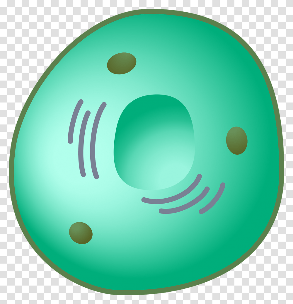 Eukaryot Cell Nucleus Nucleus Clipart, Bowling Ball, Sport, Sports, Balloon Transparent Png