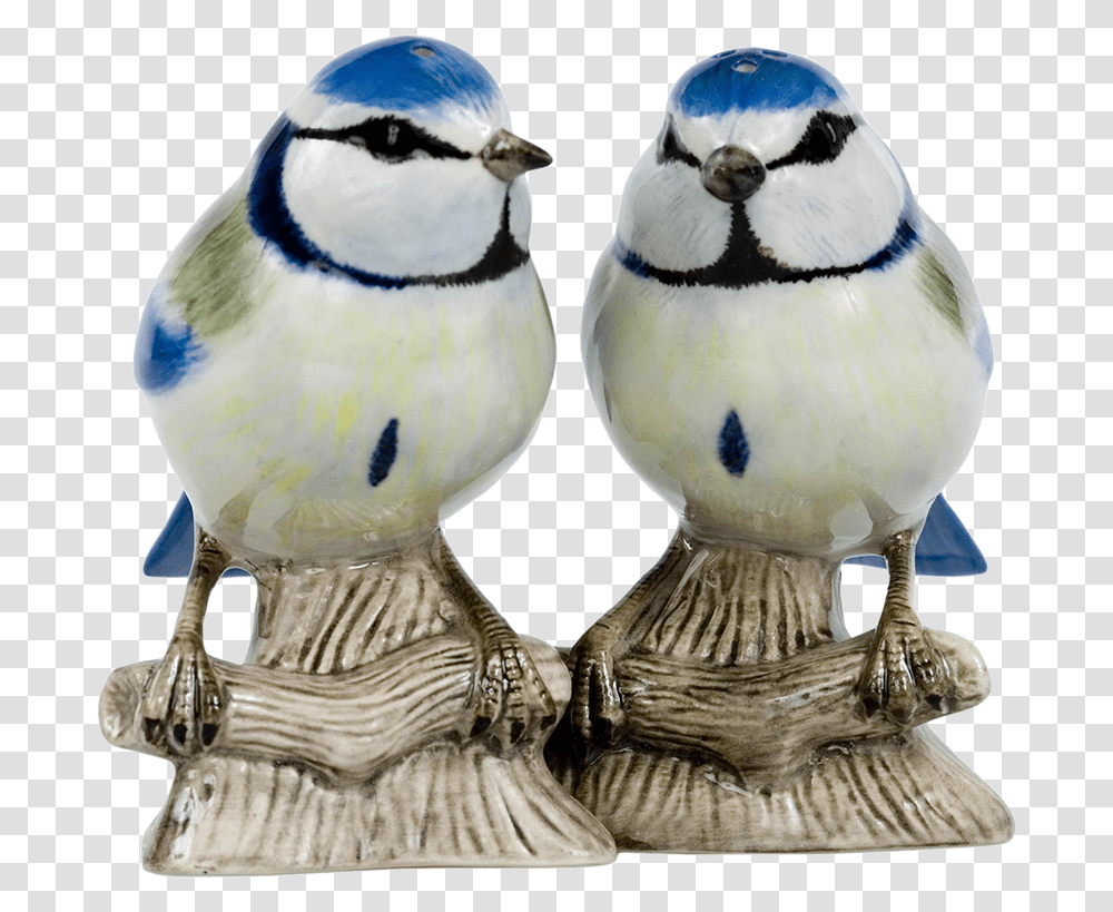 Eurasian Blue Tit, Jay, Bird, Animal, Bluebird Transparent Png