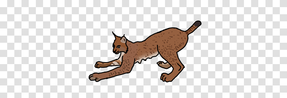 Eurasian Lynx Practice By Cobracatdragon2898, Cougar, Wildlife, Mammal, Animal Transparent Png