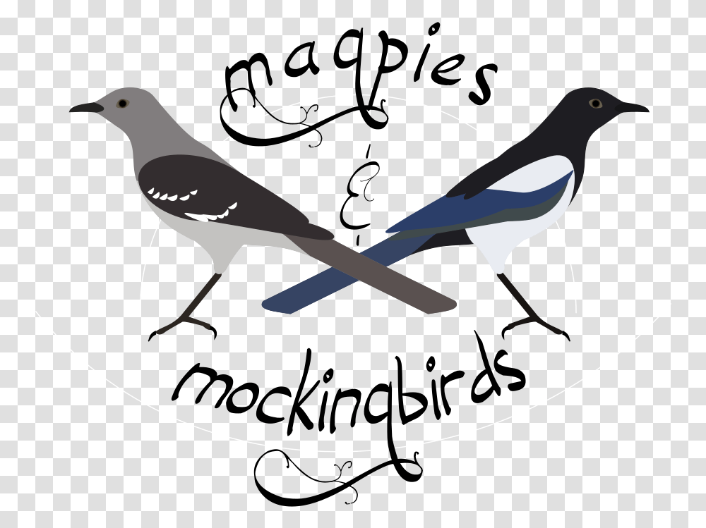 Eurasian Magpie, Bird, Animal, Jay Transparent Png