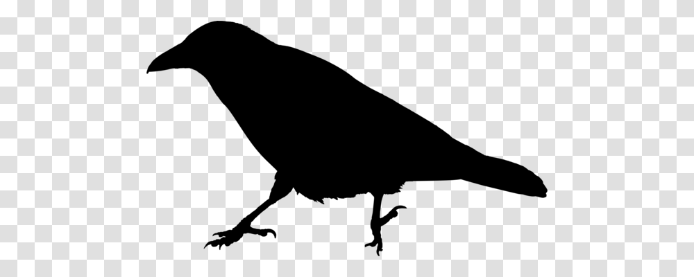 Eurasian Magpie Crow Bird Computer Icons, Gray, World Of Warcraft Transparent Png