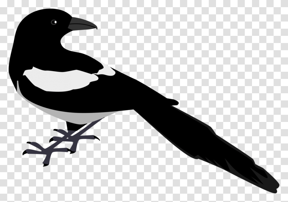 Eurasian Magpie Crow Bird Computer Icons, Ninja, Silhouette, Stencil Transparent Png
