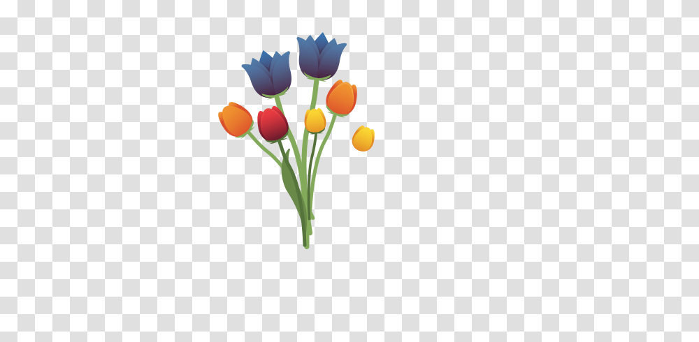 Europa, Plant, Flower, Blossom, Flower Arrangement Transparent Png