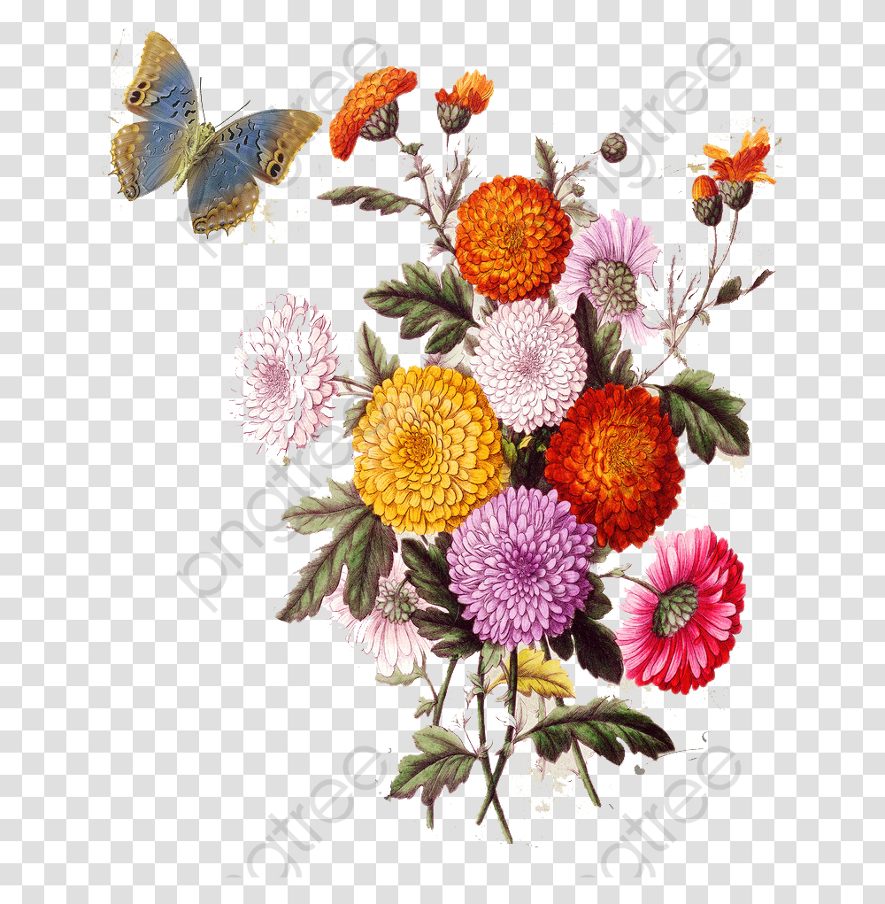 European Aesthetic Vintage Floral Aesthetic Vintage, Floral Design, Pattern Transparent Png