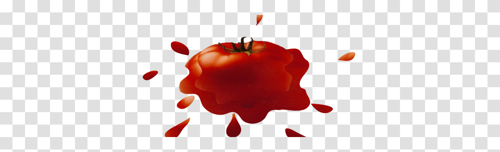 European Commission On Biotech Directive Tomatoes About To Be, Rose, Flower, Plant, Blossom Transparent Png