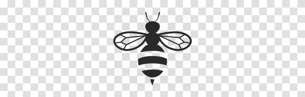European Dark Bee Clipart, Animal, Insect, Invertebrate, Ant Transparent Png