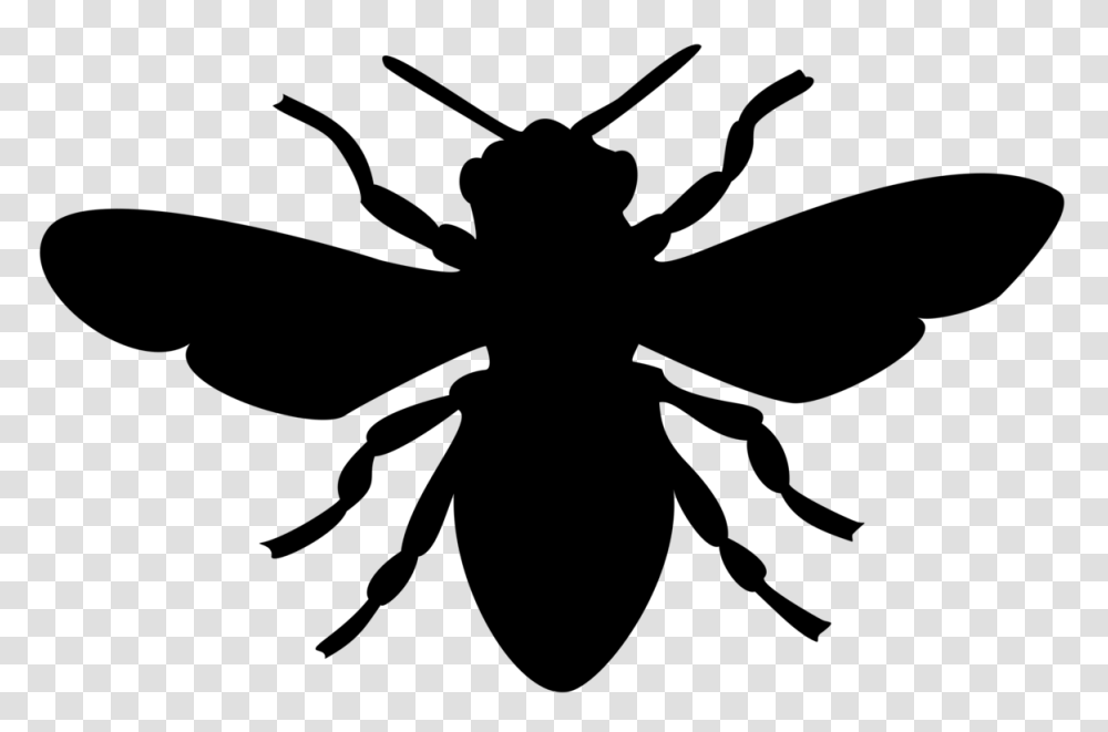European Dark Bee Honey Bee Silhouette Bumblebee, Gray, World Of Warcraft, Halo Transparent Png