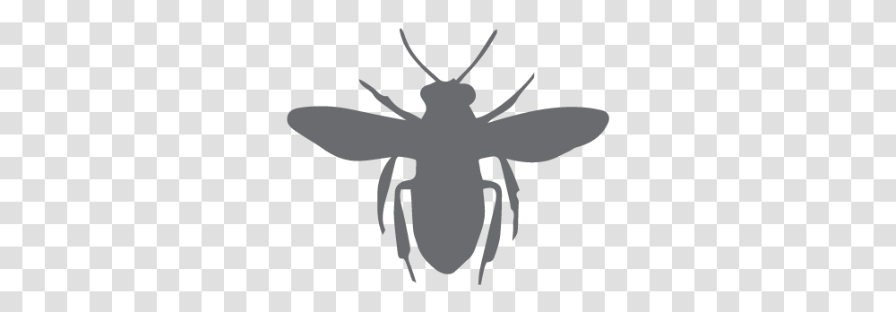 European Dark Bee Silhouette Clip Art Honey Bee, Stencil, Insect, Invertebrate, Animal Transparent Png